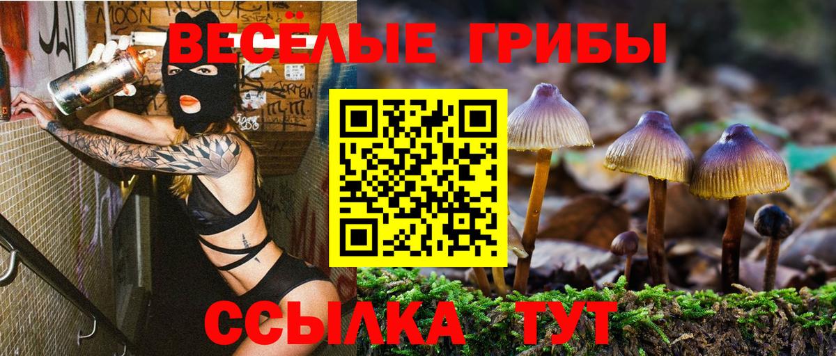 Псилоцибиновые грибы ЛСД Строитель